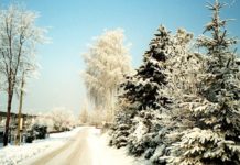 Bon turystyczny ważny dłużej