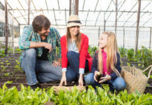 Od 1 kwietnia podwyżka składek ubezpieczeniowych rolników