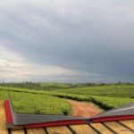 Orzecznictwo i interpretacja przepisów o rekultywacji i zagospodarowaniu terenów