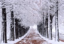 Praca zimą – przepisy regulujące pracę przy niskich temperaturach