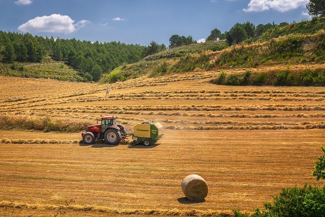 harvest-3914269_640