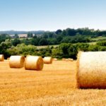 Nowe prawo: Wydzierżawienie nieruchomości rolnej