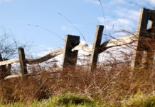 Wysokość podatku od wynajmu działki za użytkowanie wieczyste