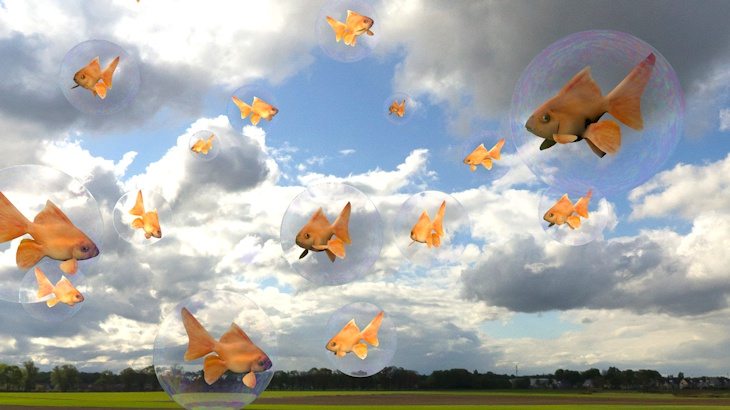 goldfish